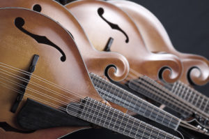 image of mandolin